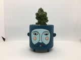 Baby Blue Hairy Jack Planter by Michelle Allen. Pictured planted with a cactus