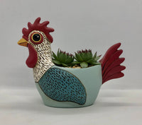 Allen Designs Baby Chicken Planter. Pictured planted with Hens and Chicks succulents