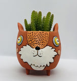 Allen Designs Baby Fox Planter. Pictured planted with cacti