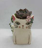 Baby Pretty Kitty Planter by Allen Designs. Pictured planted with an echeveria and string of pearls succulents