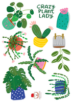 Crazy Plant Lady Fabric Wall Decals by Canberra Illustrator Missy Minzy