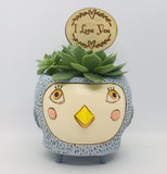 Baby Birdie Blue Planter by Allen Designs. Pictured planted with echeveria succulents and an 'I love you' timber plant tag by Bibbidi Bub