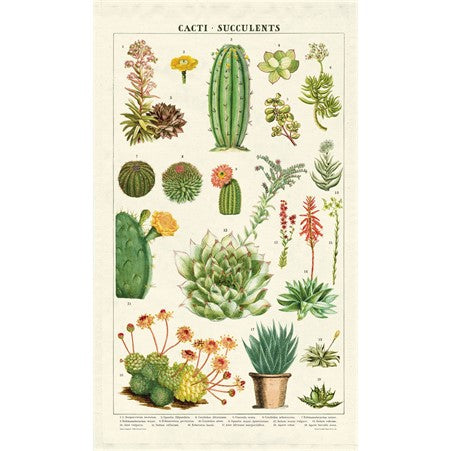 Cavallini & Co Vintage Cacti and Succulents Tea Towel