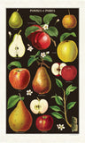 Apples and Pears Cotton Vintage Tea Towel by Cavallini and Co
