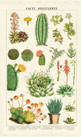 Cacti and Succulents Vintage Cotton Tea Towel by Cavallini and Co