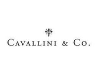 Cavallini and Co Logo