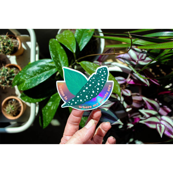 Home is Where My Plants Are Holographic Sticker by HEMLEVA