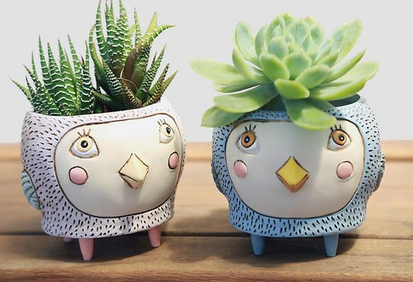 birdie plant pot Baby Birdie Pink Planter by Allen Designs – So Succulent Melbourne