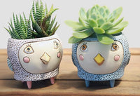 Baby Birdie Blue and Baby Birdie Pink Planters by Allen Designs. Pictured planted with succulents on a wood table