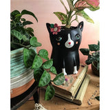 Baby Black Cat Planter by Allen Designs. Pictured displayed with indoor plants