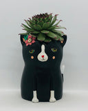 Baby black cat planter by Allen Designs. Pictured planted with hens and chicks succulent