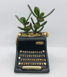 Baby black typewriter planter by Allen Designs. Pictured planted with a jade succulent