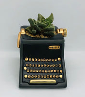 Baby black typewriter planter by Allen Designs. Pictured planted with an aloe