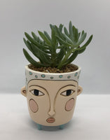 Baby Blue Polly Planter by Allen Designs. Pictured planted with chalksticks succulents