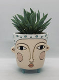 Baby Blue Polly Planter by Allen Designs. Pictured planted with a succulent