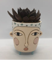 Baby Blue Polly Planter by Allen Designs. Pictured planted with a black prince succulent