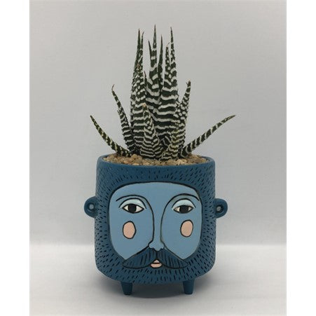 Baby Blue Hairy Jack Planter by Allen Designs. Pictured planted with an aloe