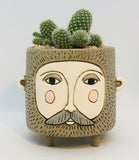 Baby Brown Hairy Jack Planter by Michelle Allen. Pictured planted with cacti