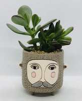 Allen Designs Baby Brown Hairy Jack Planter. Pictured planted with Jade succulents