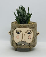 Allen Designs Baby Brown Hairy Jack Planter. Pictured planted with a Haworthia succulent