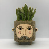 Allen Designs Baby Brown Hairy Jack Planter. Pictured planted with cacti