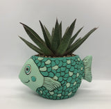 Baby fish planter by Allen Designs. Pictured planted with an aloe