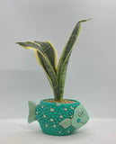 Baby fish planter by Allen Designs. Pictured planted with a Mother-in-Laws-Tongue Snake plant