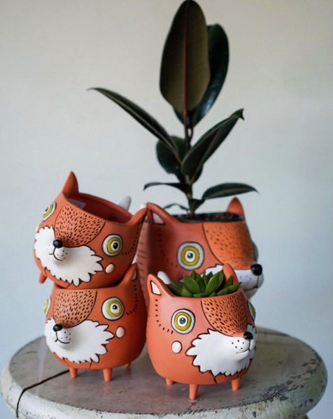 fox pot plant Baby Fox Planter by Allen Designs – So Succulent Melbourne