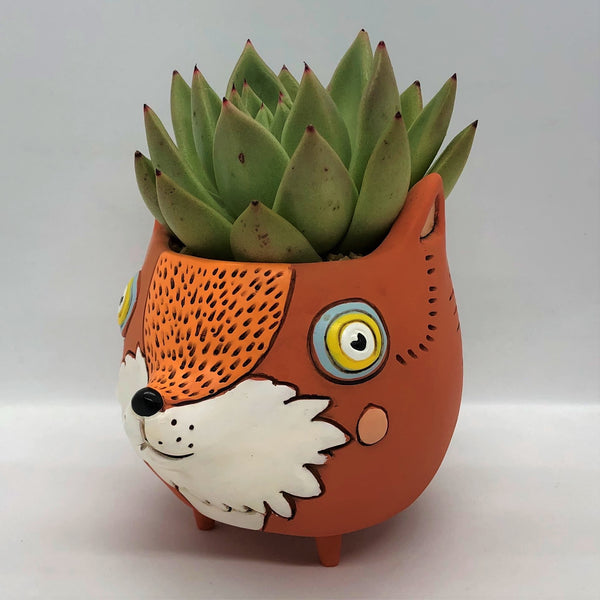 fox succulent planter Baby Fox Planter by Allen Designs – So Succulent Melbourne