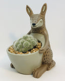 Baby Joey Planter by Michelle Allen. Pictured planted with cacti