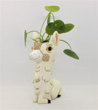 Baby Llama Vase / Planter by Allen Designs. Pictured planted with a pepperomia indoor plant