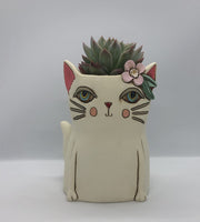 Baby Pretty Kitty Planter by Allen Designs. Pictured planted with an echeveria succulent