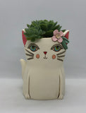 Baby Pretty Kitty Planter by Allen Designs. Pictured planted with echeveria succulents