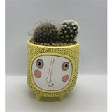 Baby Sun Planter by Allen Designs. Pictured planted with cacti