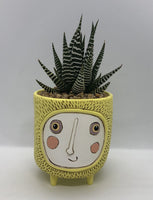 Baby Sun Planter by Allen Designs. Pictured planted with an aloe