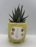 Baby Sun Planter by Allen Designs. Pictured planted with an aloe