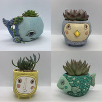 A collection of 4 different planters by Allen Designs, including the Baby Birdie Blue Planter