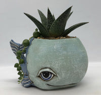 Allen Designs Baby Whale Planter. Pictured planted with an aloe and String of Pearls