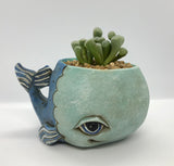 Allen Designs Baby Whale Planter. Pictured planted with Baby Toes