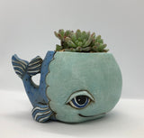 Allen Designs Baby Whale Planter. Pictured planted with succulents