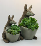 Kangaroo and Baby Kangaroo Planters by Allen Designs. Pictured planted with Echeveria Elegans succulents