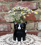 Baby black cat planter by Allen Designs. Pictured with chamomile flowers