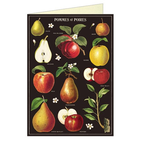 Apple and Pear Vintage Greeting Card by Cavallini and Co