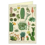 Succulents and Cacti Vintage Greeting Card by Cavallini and Co