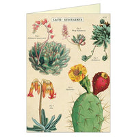 Cacti and Succulents Vintage Greeting Card by Cavallini and Co