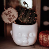 Baby Doll Head Planter by You, Me and Bones. Pictured planted with a cactus and a 'Trick or Treat' timber plant tag. Styled by Bibbidi Bub